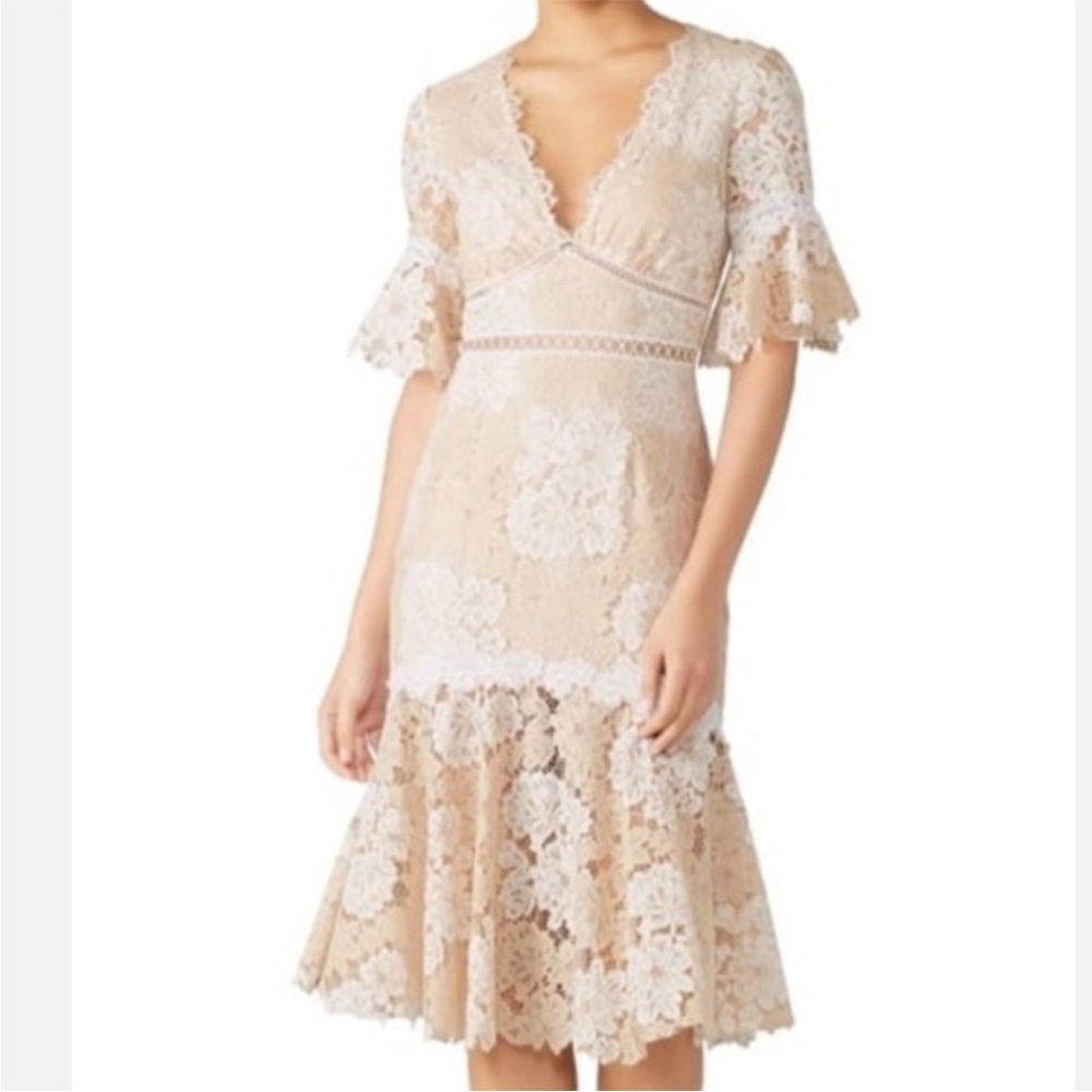 Saylor Maggy Lace Dress Midi Cream Size Medium